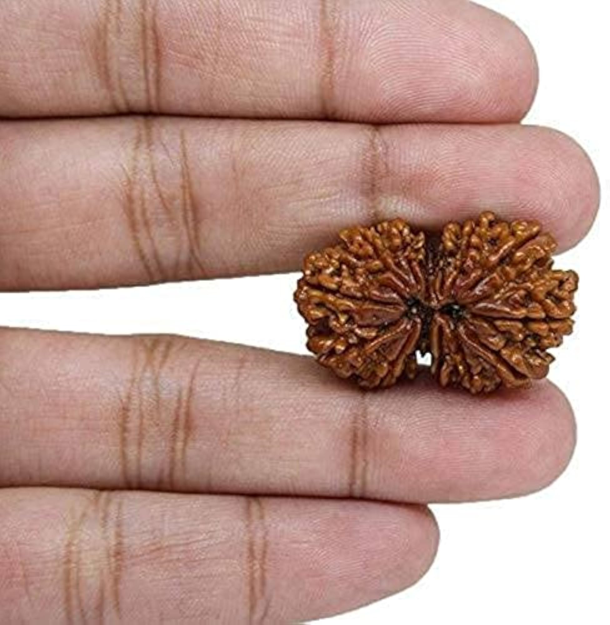 Gauri Shankar Natural Nepal Rudraksha Beads with Silver Pendant